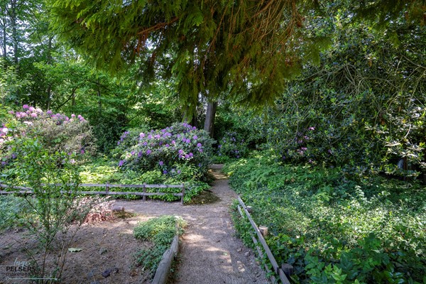Medium property photo - Beekstraat 28, 5954 AW Beesel